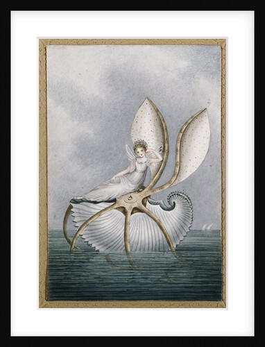 A Fairy Resting on a Shell by Amelia Jane Murray