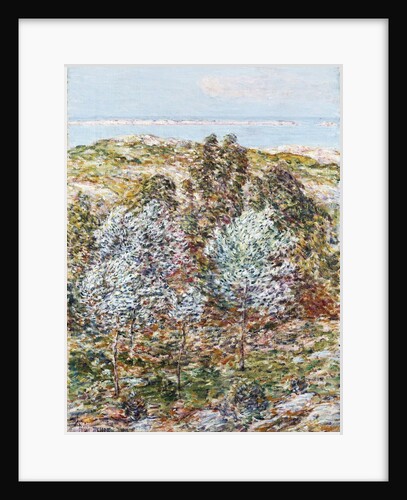 Springtime Vision by Frederick Childe Hassam