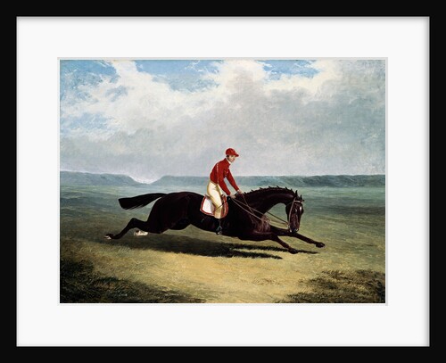The Baron with Bumpy Up, at Newmarket by John Frederick Herring Sr.