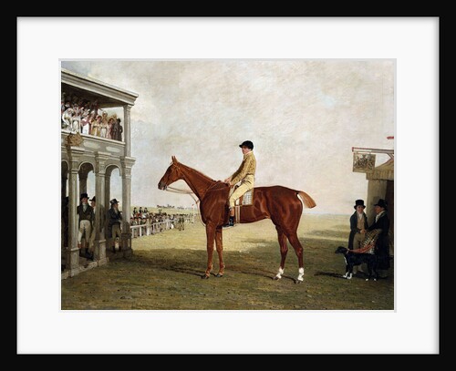 The Duke of Westminster's Filly 'Defiance' by Benjamin Marshall