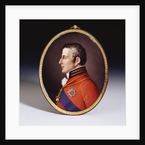 Sevres oval portrait plaque of the Duke of Wellington by Etienne-Charles Leguay