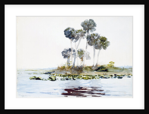 St. Johns River, Florida by Winslow Homer