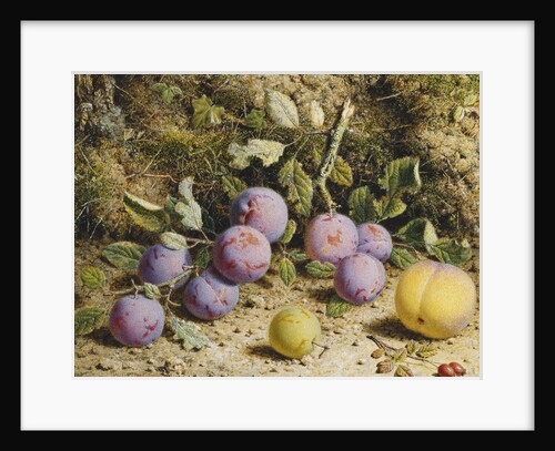 Still Life with Plums, a Peach and Rosehips by William Hough
