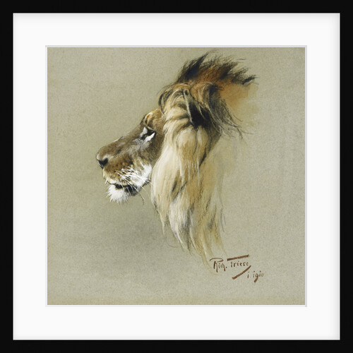 A Lion's Head by Richard Friese