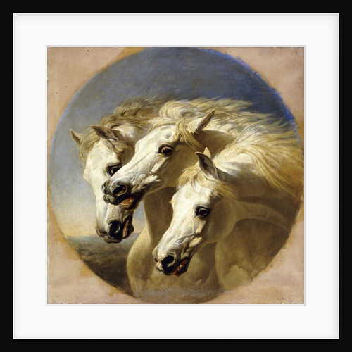 Pharaoh's Horses by John Frederick Herring Sr.