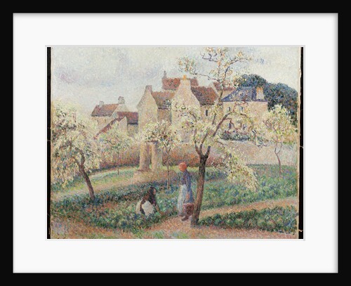 Plum Trees in Blossom by Camillle Pissarro