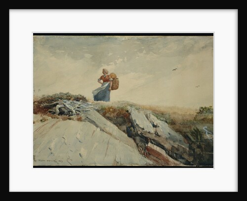 Down the Cliff by Winslow Homer