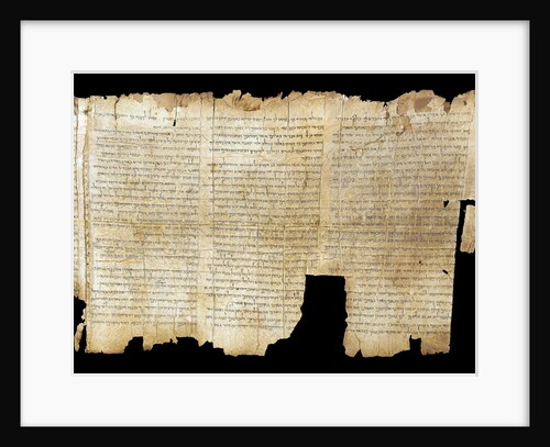 The Temple Scroll, from the Dead Sea Scrolls by Anonymous