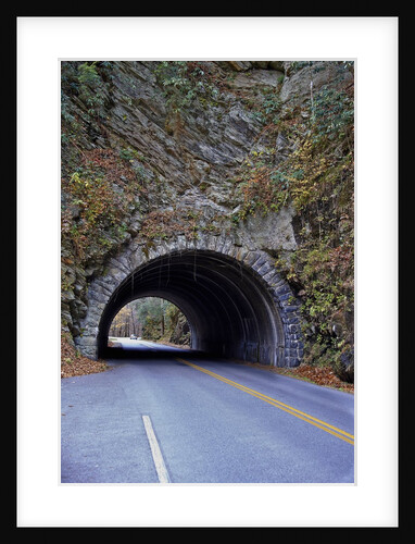 Blue Ridge Mountains, Great Smoky Mountains National Park, USA by Anonymous
