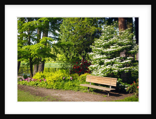 Spring in Crystal Springs Rhododendron Garden, Portland, Oregon, USA by Anonymous