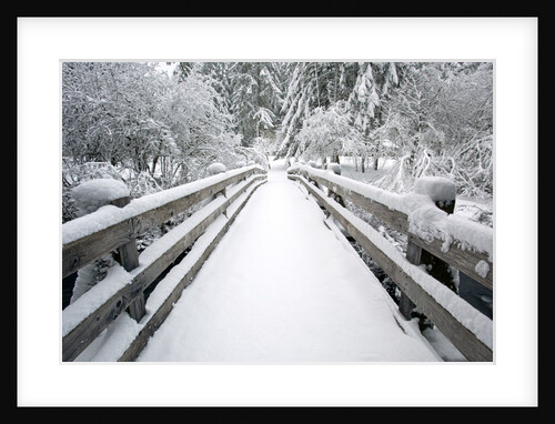Footbridge covered in snow, Silver Falls State Park, Oregon, USA by Anonymous