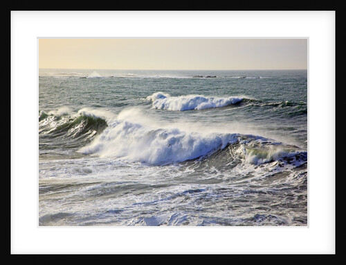 Winter storm waves crash on headline at Shore Aceres State Park, Oregon, USA by Anonymous