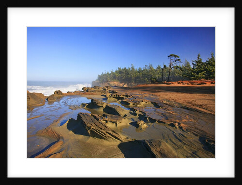 Coastline at Shore Aceres State Park, Oregon, USA by Anonymous