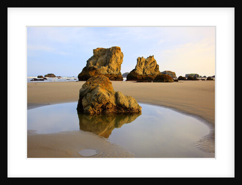 Sunrise tide pools at low tide, Bandon Beach, Oregon, USA by Anonymous