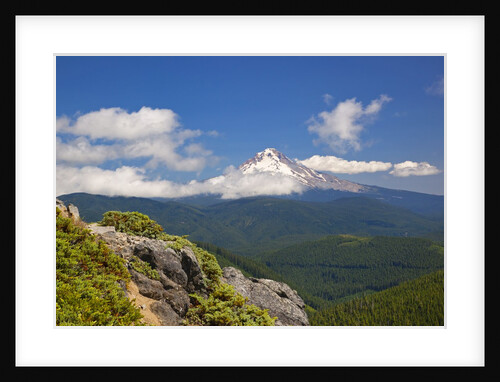 Mt. Hood, Mt. Hood National Forest, Oregon, USA by Anonymous