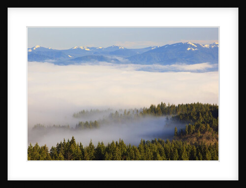 Morning fog covers Hood River Valley, Oregon, USA by Anonymous