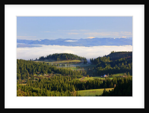 Morning fog covers Hood River Valley, Oregon, USA by Anonymous