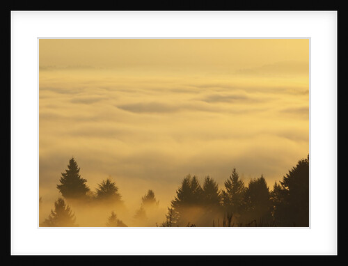 Sunrise over valley, Oregon, USA by Anonymous