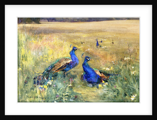 Peacocks in a Field by Mildred Anne Butler