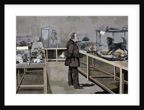 Pasteur, Louis (1822-1895) by Anonymous