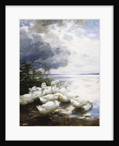 Ducks at the Lake's Edge by Alexander Koester