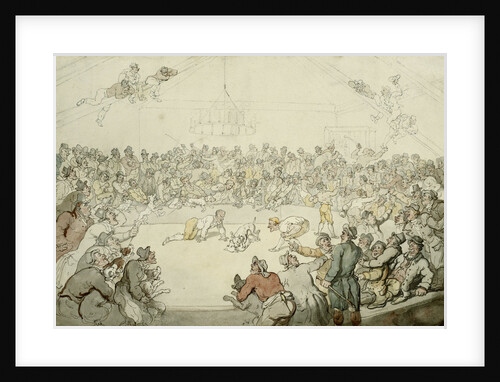 The Westminster Pitt by Thomas Rowlandson