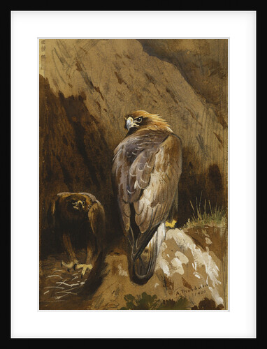 Golden Eagles at Their Eyrie by Archibald Thorburn