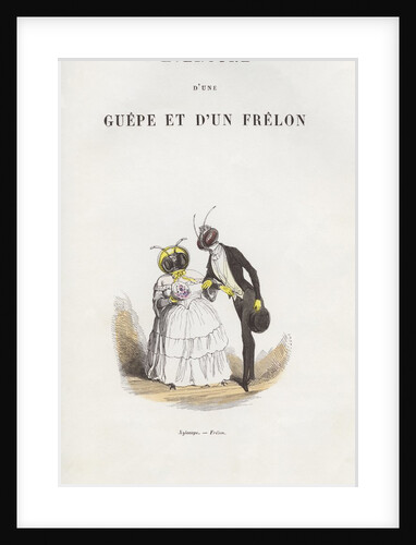 Xylocope-Frelon Illustration of Newlywed Insect Couple By Amedee Varin by Anonymous