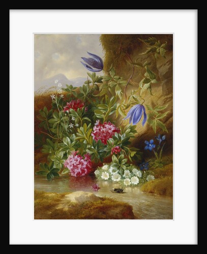 Alpine Flowers by Josef Schuster