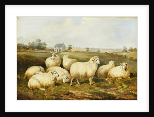 Sheep in a Meadow by James Charles Morris