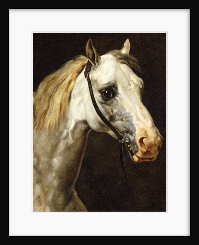 Head of a Piebald Horse attributed to Theodore Jean Louis Gericault by Anonymous
