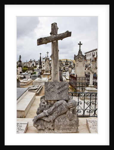 Lapa cemetery in Aveiro by Anonymous