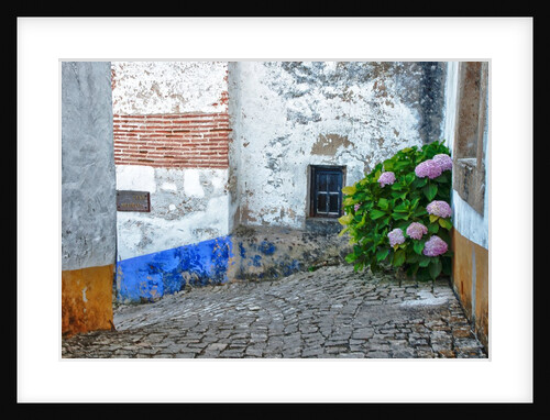 Street along Obidos, one of the most picturesque medieval villages in Portugal by Anonymous