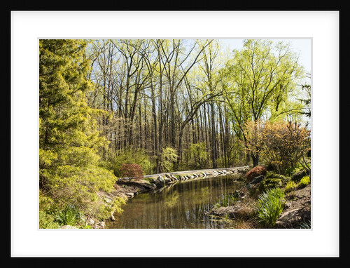 Shades of green mark Spring by Anonymous