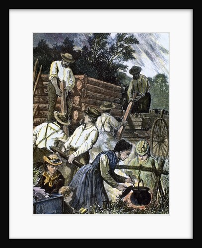 USA. Settlers building their homes in the West (1874) by Anonymous