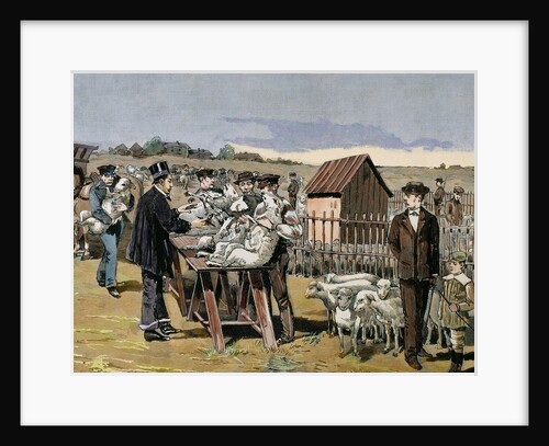 Pasteur, Louis (1822-1895). Vaccination of sheep against anthrax by Anonymous