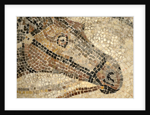 Horse Roman Floor Mosaic by Anonymous