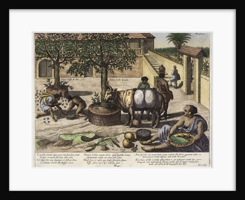 Jan Huygen van Linschiten illustration by Anonymous