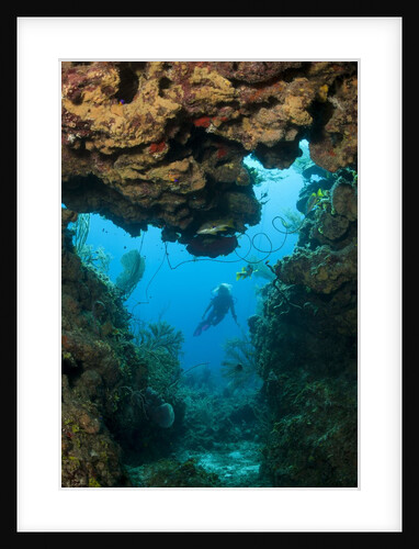 Diver seen through opening in coral reef by Anonymous