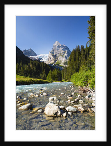 Rosenlaui Valley by Anonymous