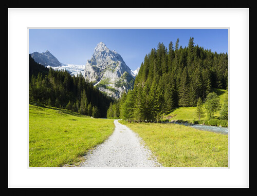 Rosenlaui Valley by Anonymous
