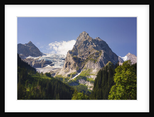 Rosenlaui Valley by Anonymous
