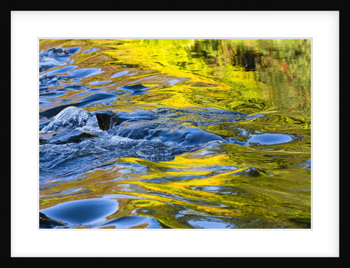 Colorful water surface by Anonymous