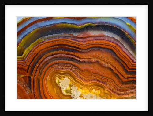 Close ups of Fortification on Crazy Lace Agate by Anonymous