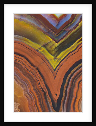 Close ups of Fortification on Crazy Lace Agate by Anonymous