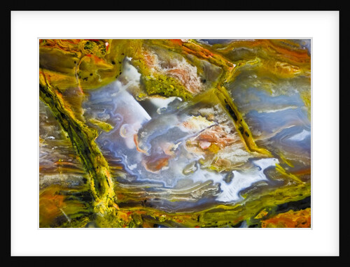 Rainbow Ridge Picture Agate by Anonymous