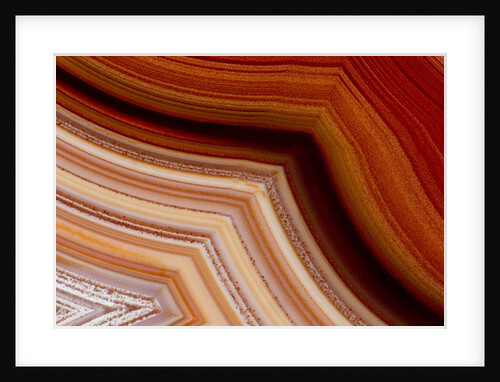Close-up of Fortification Laguna Agate by Anonymous