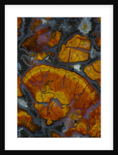 Wingate Pass Agate, Ca by Anonymous