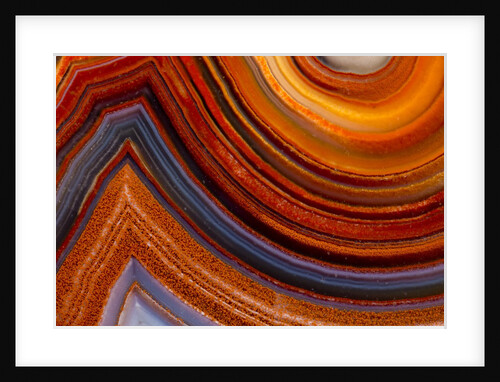 Close ups of Fortification on Crazy Lace Agate by Anonymous