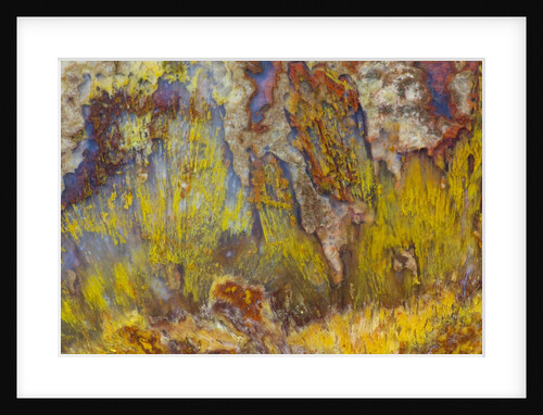 Sagenite on Mexican Agate by Anonymous